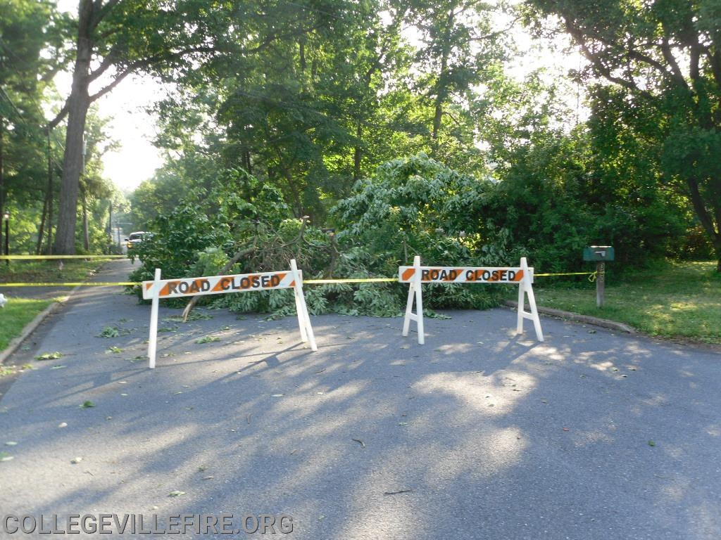 Tree and wires down 8th Ave., (Hilltop),Collegeville Borough