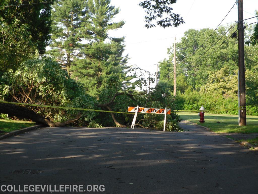 Wind damage in Collegeville Borough from a severe Thunder Storm