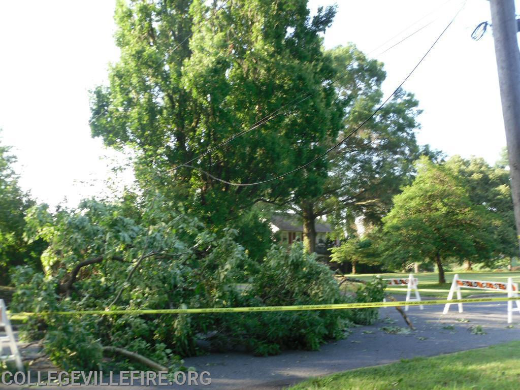 Wind damage in Collegeville Borough from a severe Thunder Storm