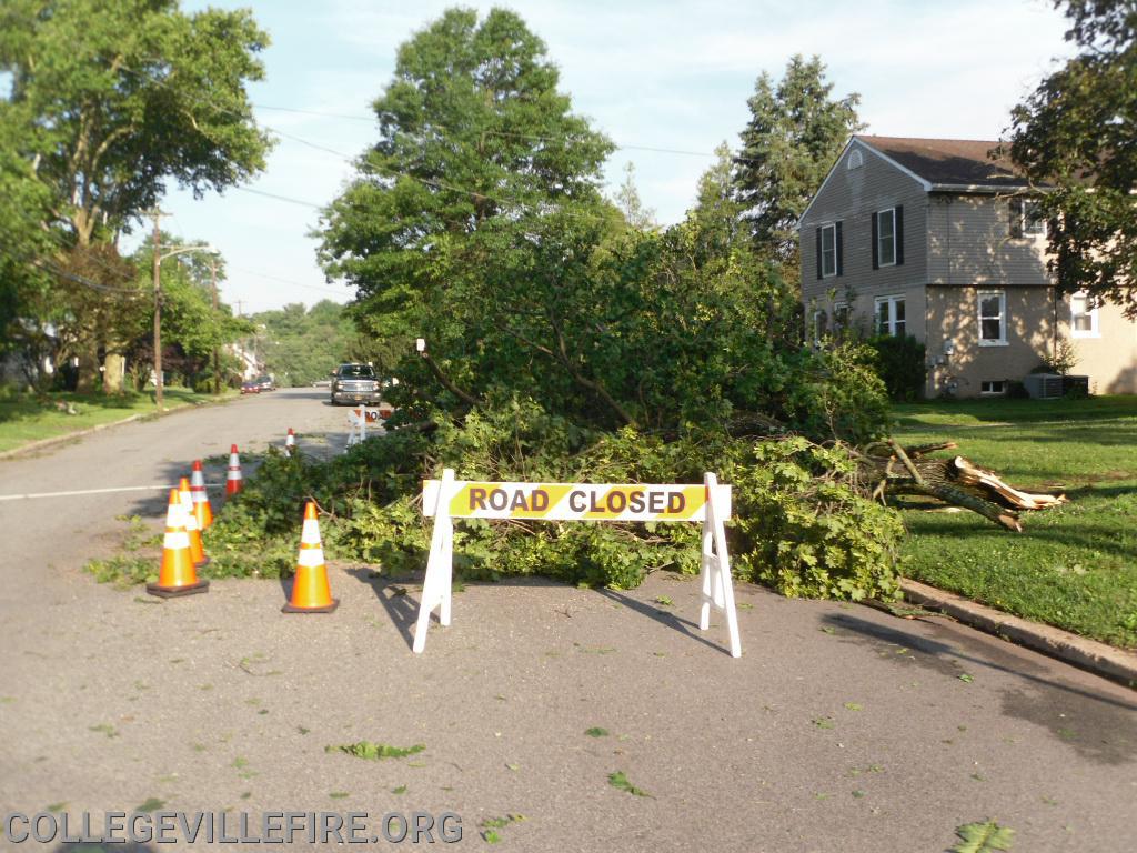 Wind damage in Collegeville Borough from a severe Thunder Storm