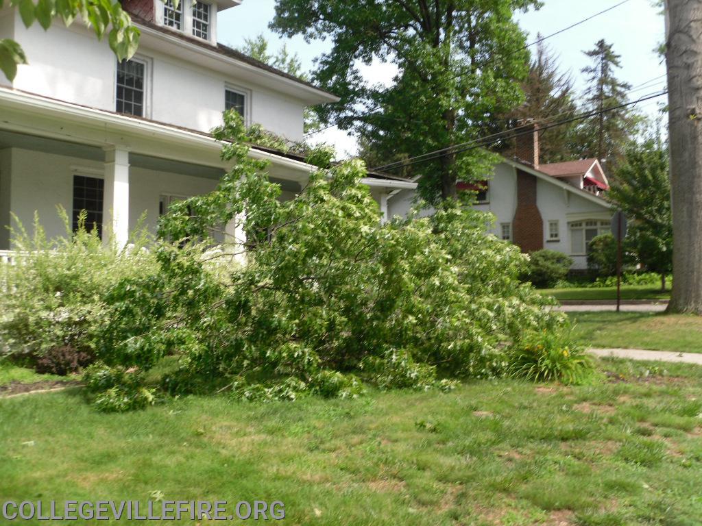 Wind damage in Collegeville Borough from a severe Thunder Storm