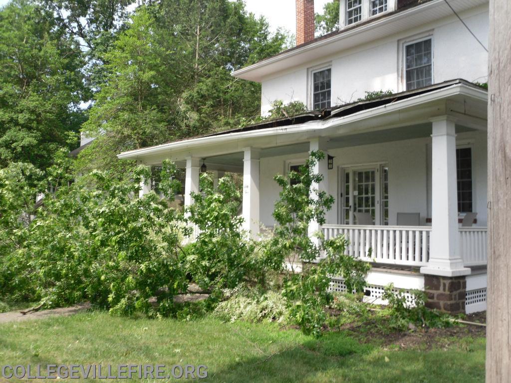 Wind damage in Collegeville Borough from a severe Thunder Storm